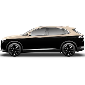 Jet_Black_Champagne_Creme