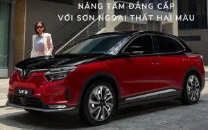 Vinfast VF8 Lux nâng tầm đẳng cấp